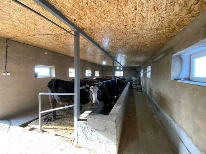 Атбашылык Бурул БАТАЕВА типтүү сарай салып, малдын санынан сапатка өтүүдө