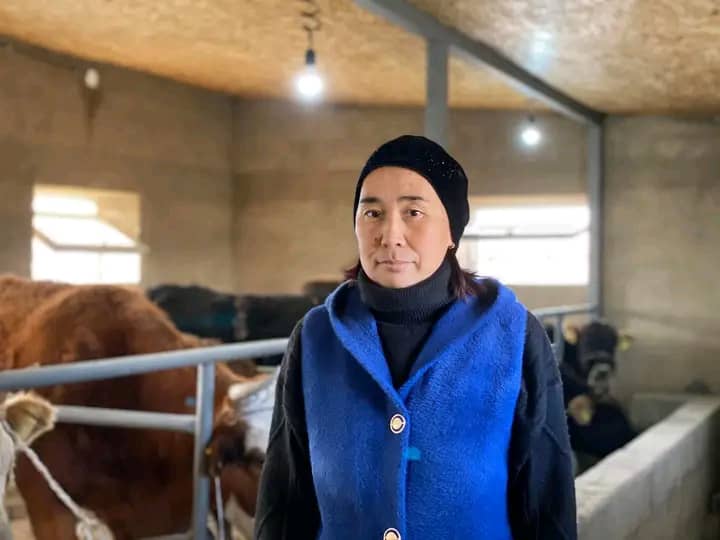 Атбашылык Бурул БАТАЕВА типтүү сарай салып, малдын санынан сапатка өтүүдө