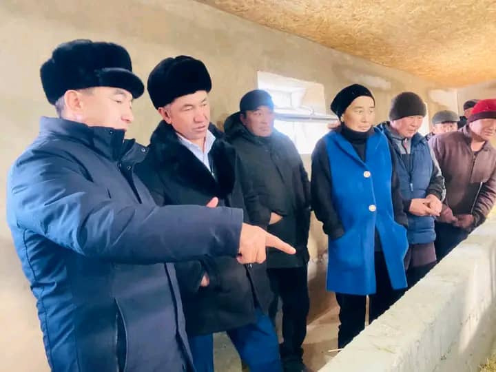 Атбашылык Бурул БАТАЕВА типтүү сарай салып, малдын санынан сапатка өтүүдө